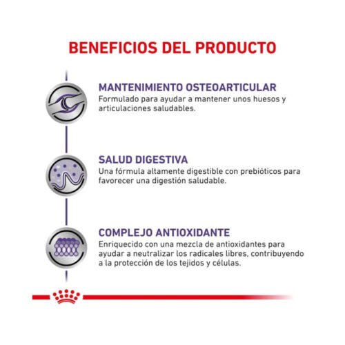 Royal Canin Adult Large Dog