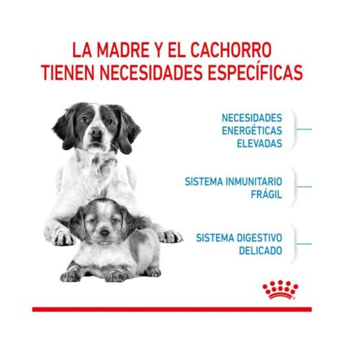 Royal Canin Medium Starter