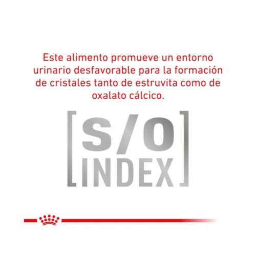 493591c75uI8file.jpeg Royal Canin Mature Consult Finas Láminas En Salsa