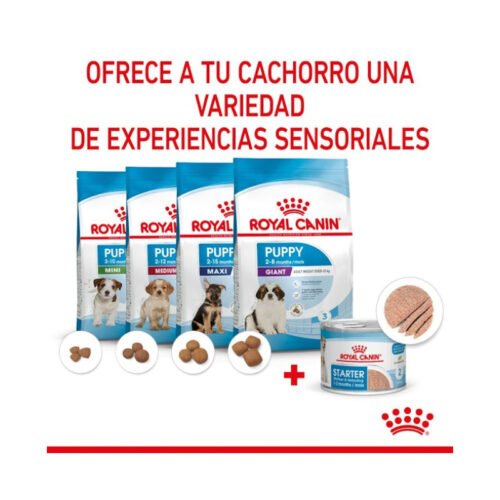 Royal Canin Starter Mousse