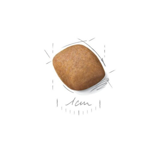 541715c75uI8file.jpeg Royal Canin Pomeranian Adult