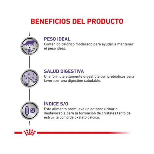 Royal Canin Neutered Balance Finas Láminas En Salsa