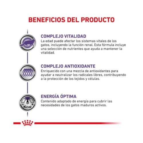 757946c75uI8file.jpeg Royal Canin Mature Consult Finas Láminas En Salsa