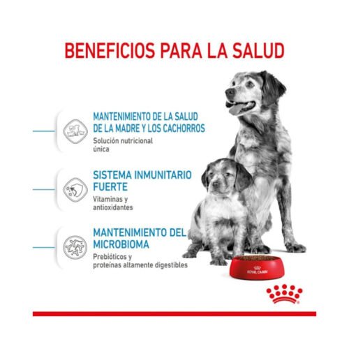 Royal Canin Medium Starter