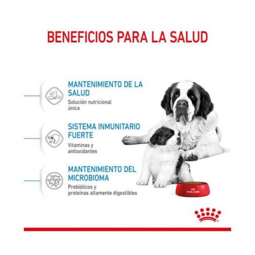 Royal Canin Giant Starter