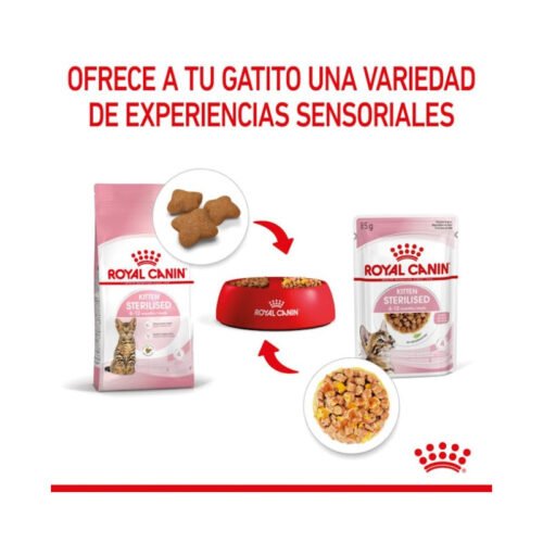 Royal Canin Kitten Sterilised