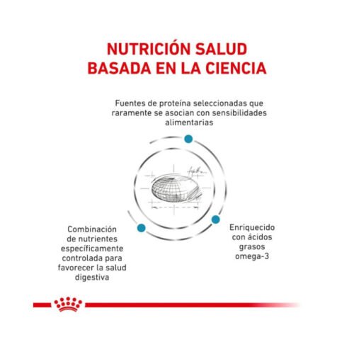 Ingredientes y composición