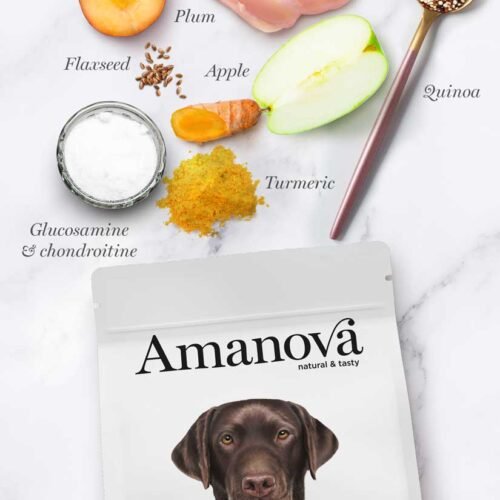 ingredientes principales pollo, manzana, ciruela, quinoa, cúrcuma