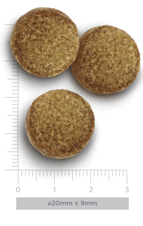 croquetas del pienso Amanova Adult Large Exquisite Chicken con medidas