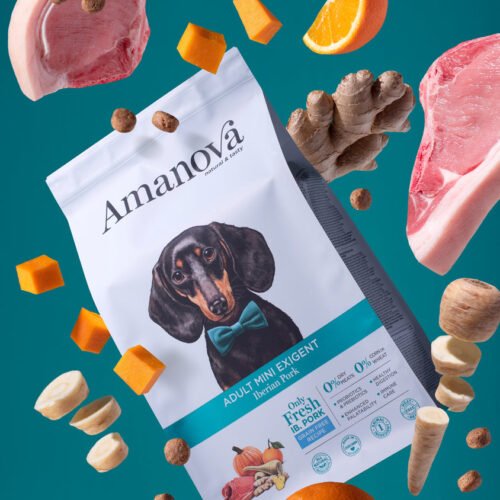 presentación del saco con ingredientes principales cerdo, calabaza, naranja y jengibre