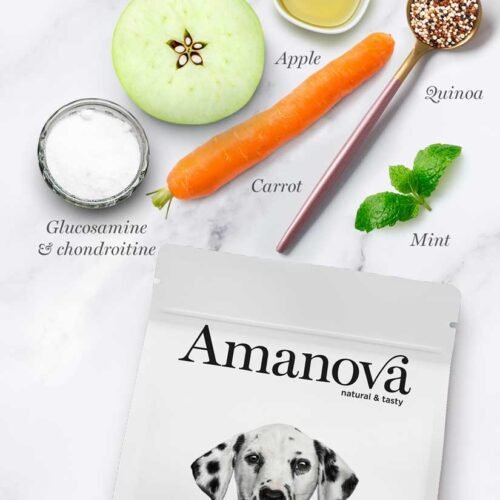 ingredientes principales pollo, manzana, zanahoria, quinoa, menta