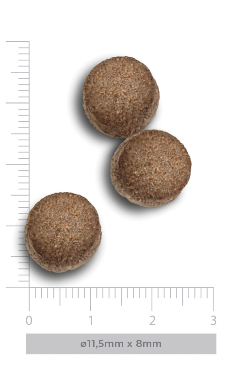 croquetas del pienso Amanova Puppy Large Exquisite Chicken con medidas