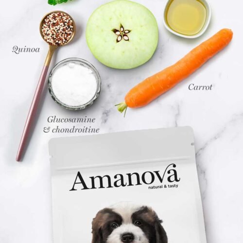 ingredientes principales pollo, manzana, zanahoria, quinoa, menta