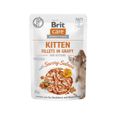 paquete frontal brit care cat kitten fillets in gravy with savory salmon 85 g