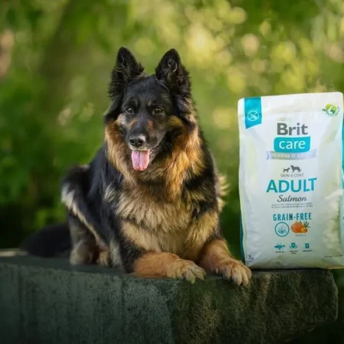 pack de pienso junto a un perro adulto pastor alemán