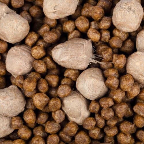 detalle cercano de croquetas y snacks