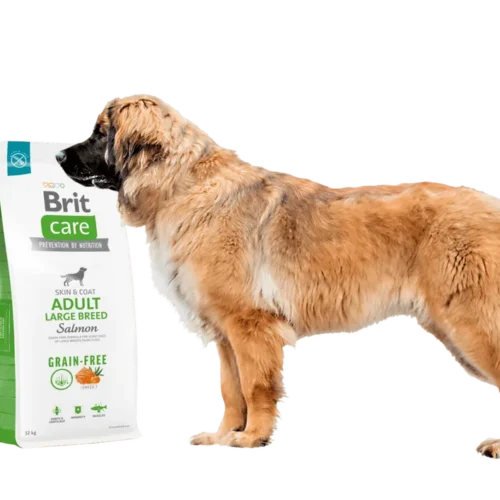 pack de pienso junto a perro de raza grande