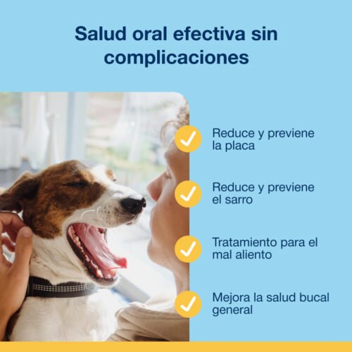 Perro siendo revisado de la boca junto a texto sobre beneficios de salud oral