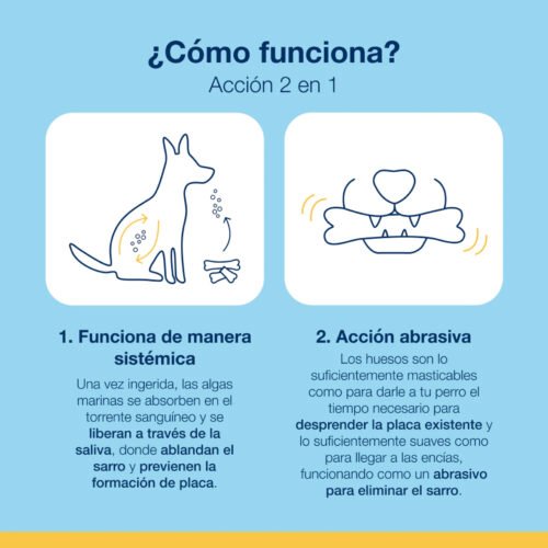 Perro comiendo un hueso Fidelis entregado por su dueño