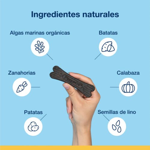 Ingredientes naturales destacados con ilustraciones y hueso en mano humana