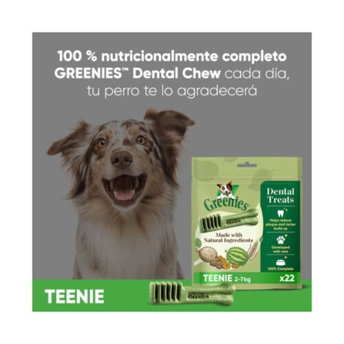 greenies-snacks-dentales-perros-170g Imagen promocional con perro feliz y bolsa del producto