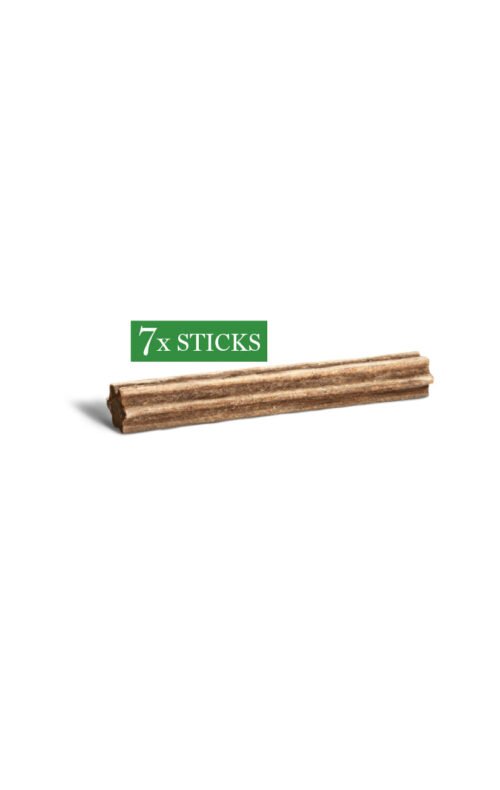 sticks dentales para perro adulto