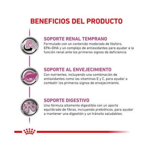 Beneficios Royal Canin Early Renal gato