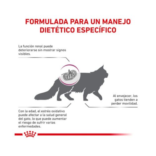 Royal Canin Early Renal beneficios del producto