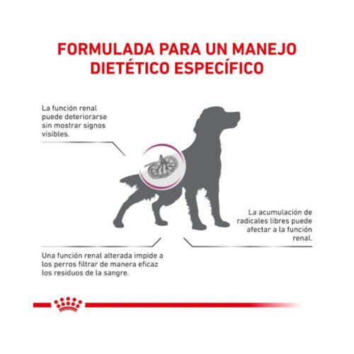 Royal Canin Early Renal beneficios del producto