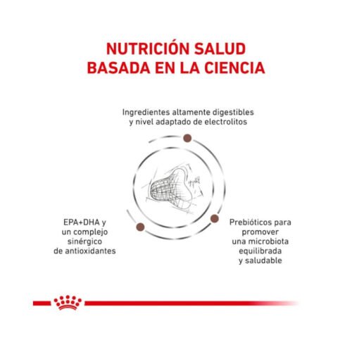Beneficios adicionales Royal Canin Gastro Intestinal Fibre Response gato