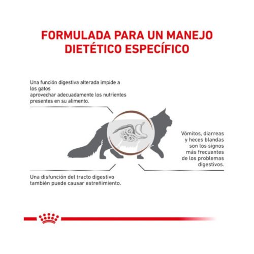 Imagen de beneficios del pienso Royal Canin Gastro Intestinal Fibre Response gato