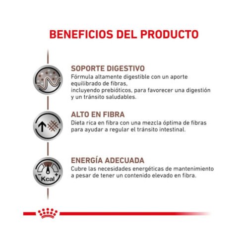 Royal Canin Gastrointestinal High Fibre beneficios pienso perro