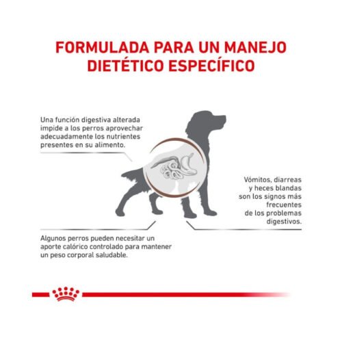royal-canin-gastrointestinal-moderate-calorie-perro-adulto-beneficios Royal Canin Gastrointestinal Moderate Calorie beneficios pienso perro