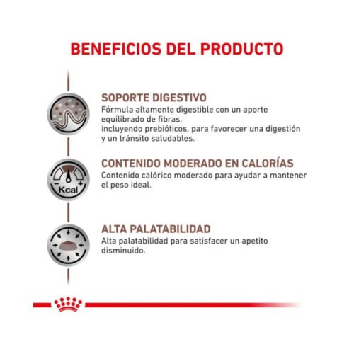 royal-canin-gastrointestinal-moderate-calorie-perro-adulto-ingredientes Royal Canin Gastrointestinal Moderate Calorie ingredientes pienso perro