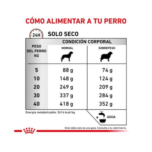 royal-canin-gastrointestinal-moderate-calorie-perro-adulto-racionamiento Royal Canin Gastrointestinal Moderate Calorie racionamiento pienso perro
