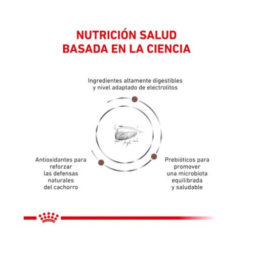 royal-canin-gastrointestinal-puppy-perro-cachorro-beneficios-1 Beneficios adicionales Royal Canin Gastrointestinal Puppy cachorro