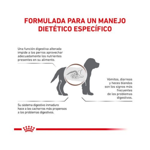 royal-canin-gastrointestinal-puppy-perro-cachorro-beneficios Imagen de beneficios del pienso Royal Canin Gastrointestinal Puppy cachorro