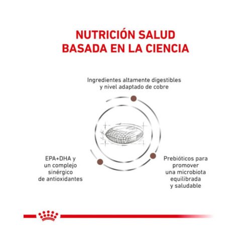 Imagen de beneficios principales del pienso Royal Canin Hepatic perro