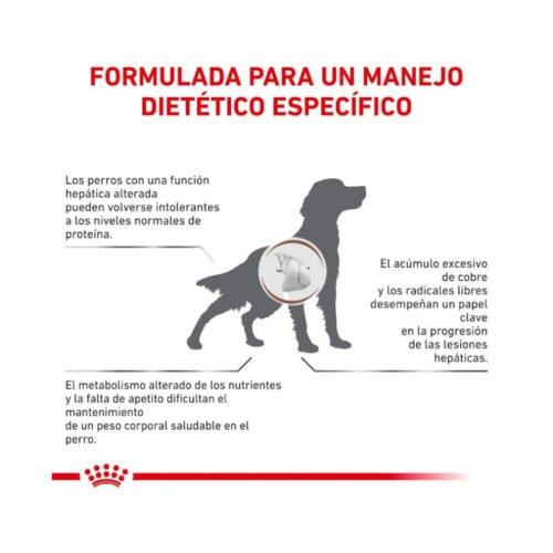 Más beneficios Royal Canin Hepatic perro