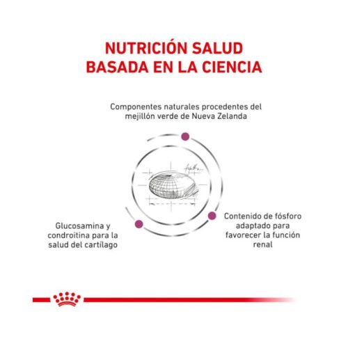 Royal Canin Mobility beneficios clave del producto