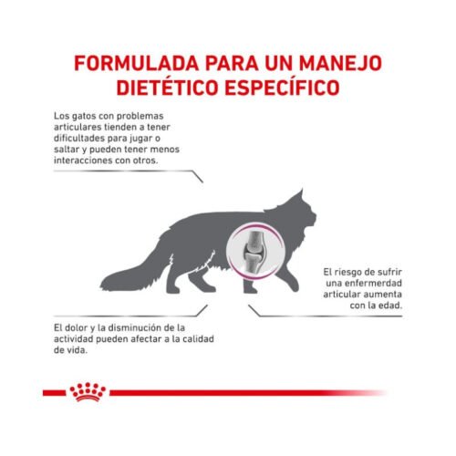 Royal Canin Mobility beneficios generales del producto