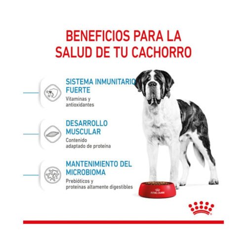 Beneficios Royal Canin Giant Junior