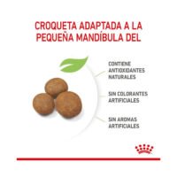 Croquetas Royal Canin Giant Puppy en detalle