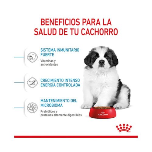 Royal Canin Giant Puppy envase completo
