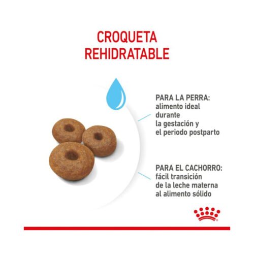 Croquetas Royal Canin Maxi Starter en detalle