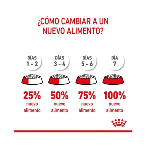 Ingredientes Royal Canin Maxi Starter