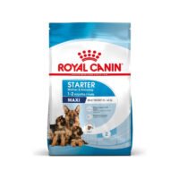 royal-canin-pienso-royal-canin-maxi-starter-perro-cachorro-pienso-royal-canin-maxi-starter Royal Canin Maxi Starter pack frontal