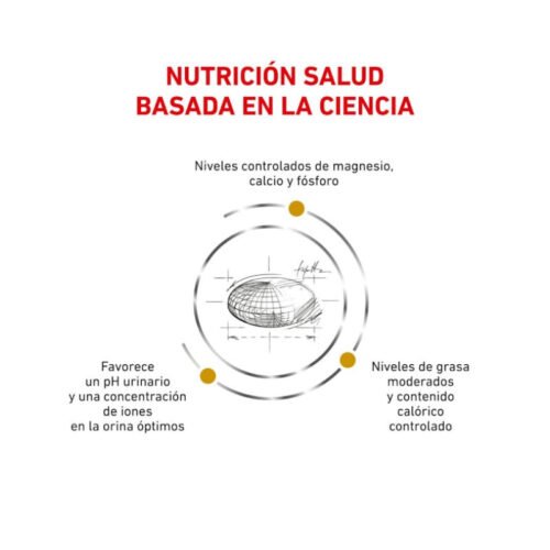 salud urinaria Royal Canin Urinary Moderate Calorie