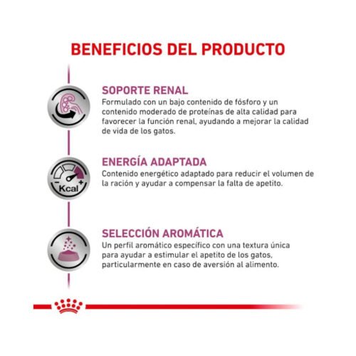 Beneficios Royal Canin Renal con Pollo gato