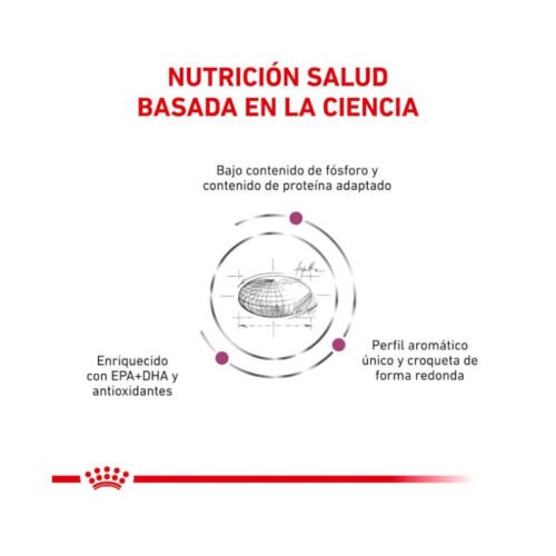 Royal Canin Renal beneficios clave del producto